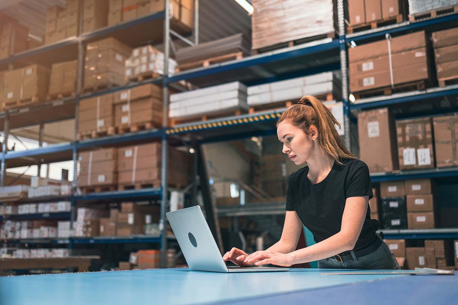 Warehouse manager tracking amortized expenses and balances in NetSuite